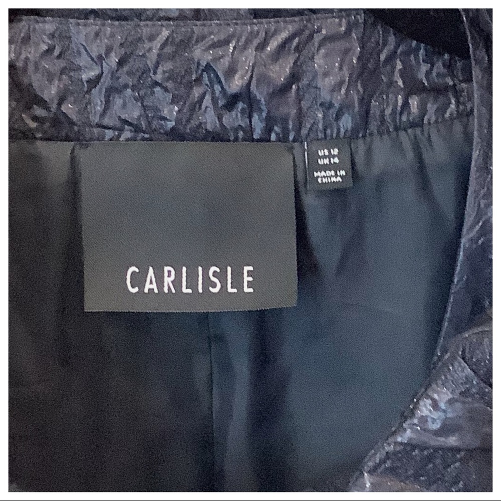 Carlisle Silk Blend Animal Crinkle Jacket Coat 12 - Picture 7 of 11